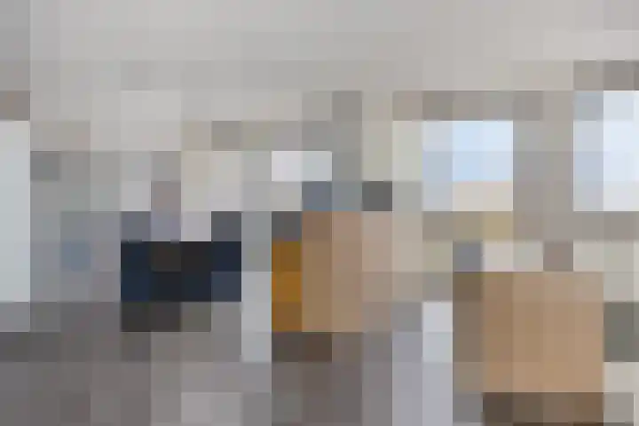 De Misse 129 Uden thumbnail 12
