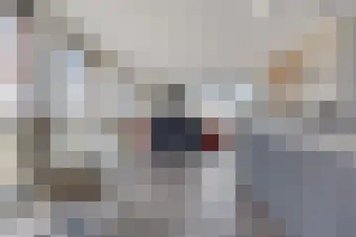 De Misse 129 Uden thumbnail 16