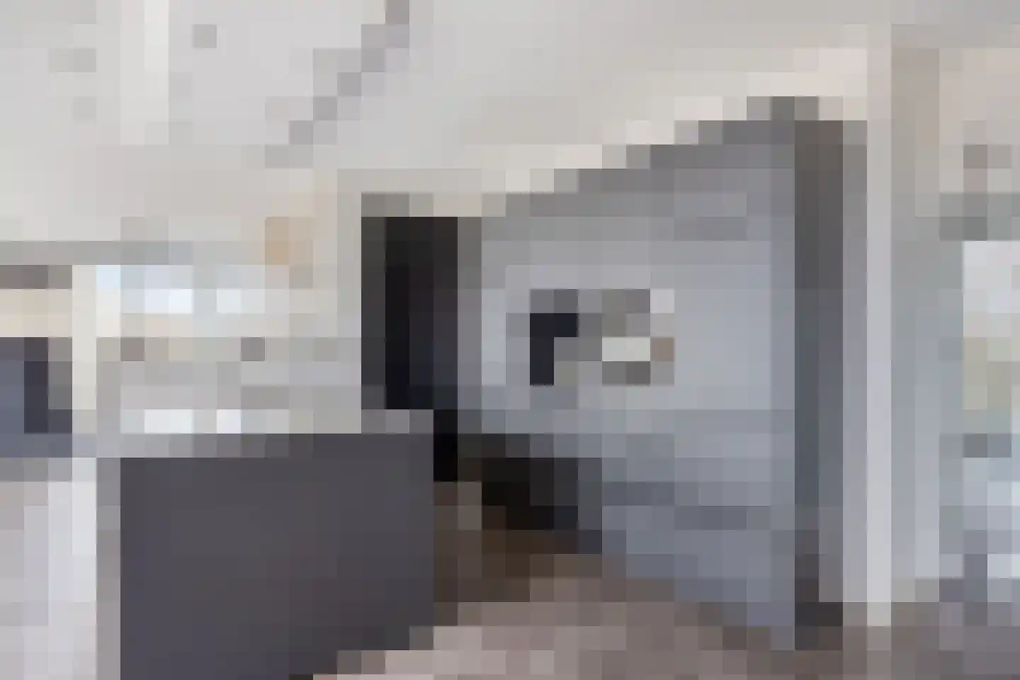 De Misse 129 Uden thumbnail 20