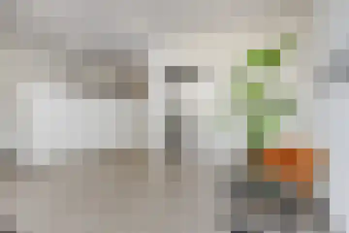 De Misse 129 Uden thumbnail 34