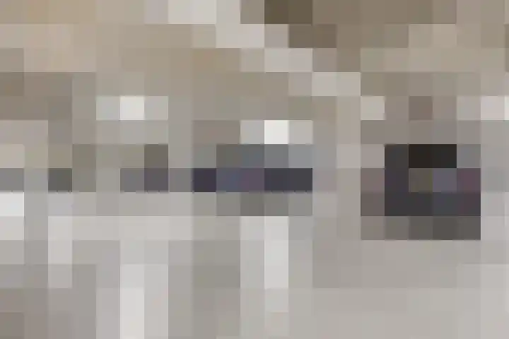 De Misse 129 Uden thumbnail 35