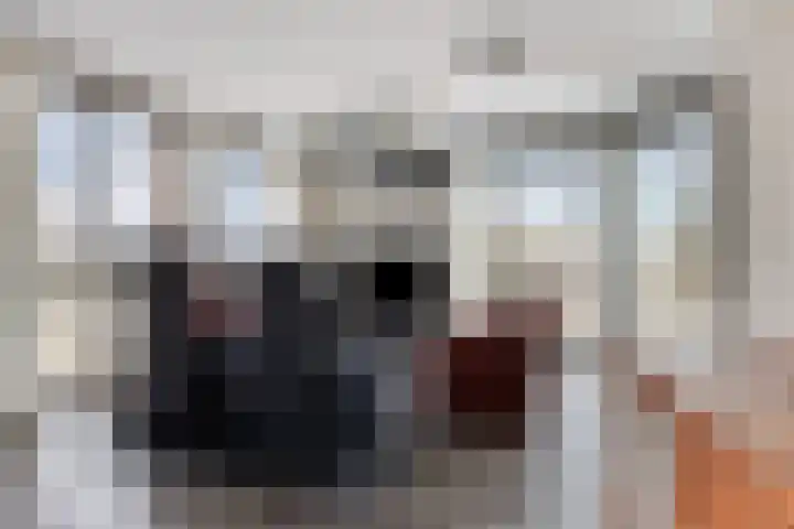 De Misse 129 Uden thumbnail 5