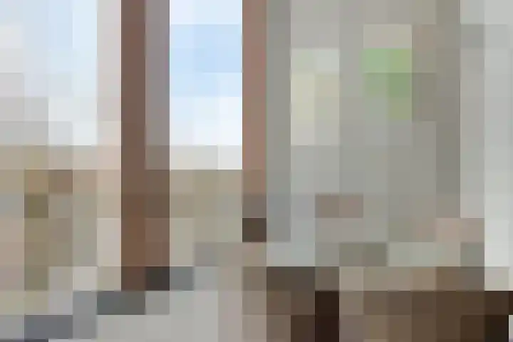 De Misse 129 Uden thumbnail 8