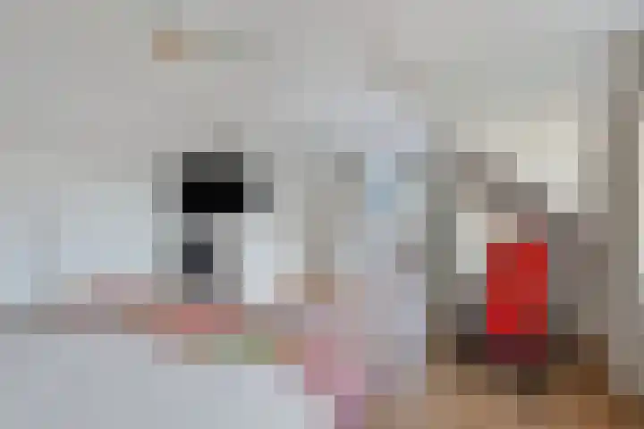 De Misse 13 Berlicum thumbnail 17