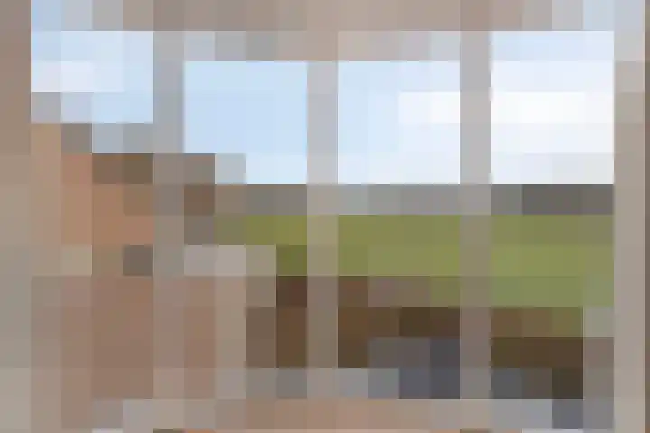 De Misse 13 Berlicum thumbnail 18