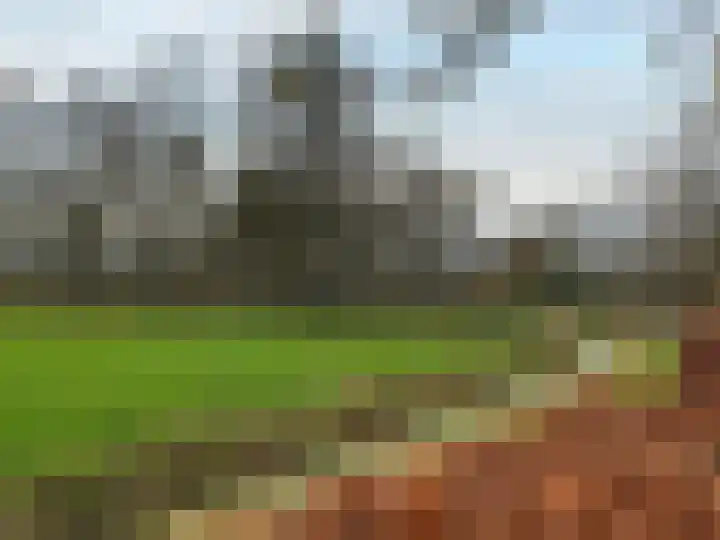 De Misse 13 Berlicum thumbnail 31