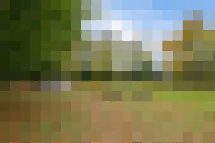 De Misse 13 Berlicum thumbnail 34