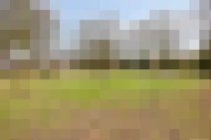 De Misse 13 Berlicum thumbnail 35