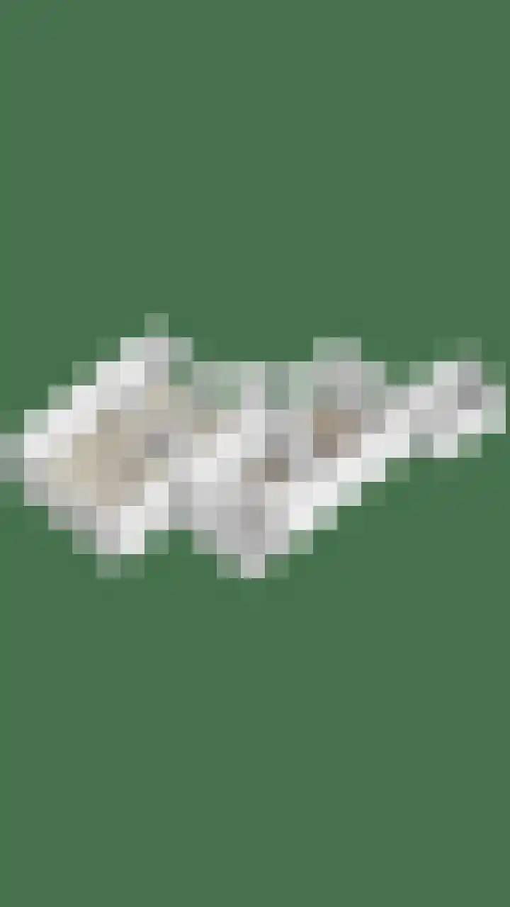 De Misse 13 Berlicum thumbnail 38
