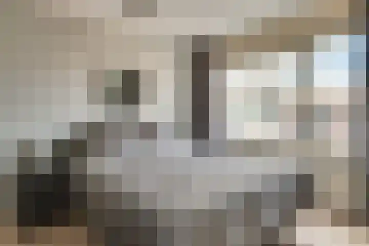 De Misse 38 Uden thumbnail 13