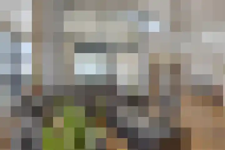 De Misse 42 Uden thumbnail 10