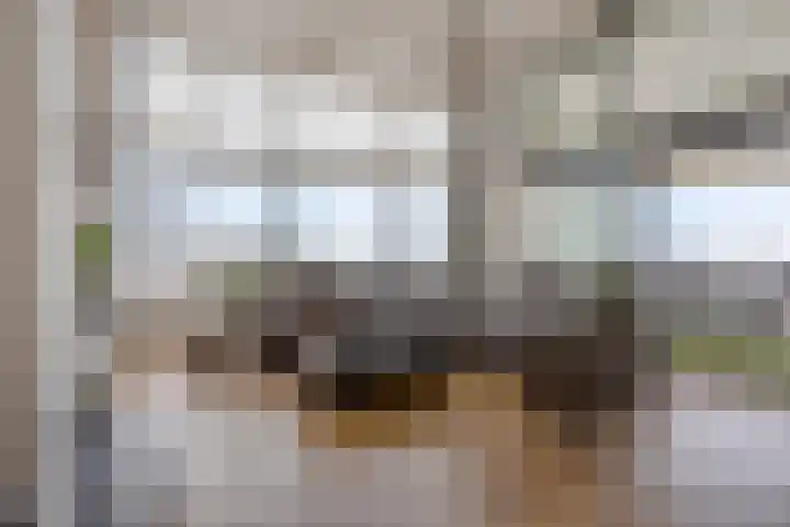 De Misse 42 Uden thumbnail 11