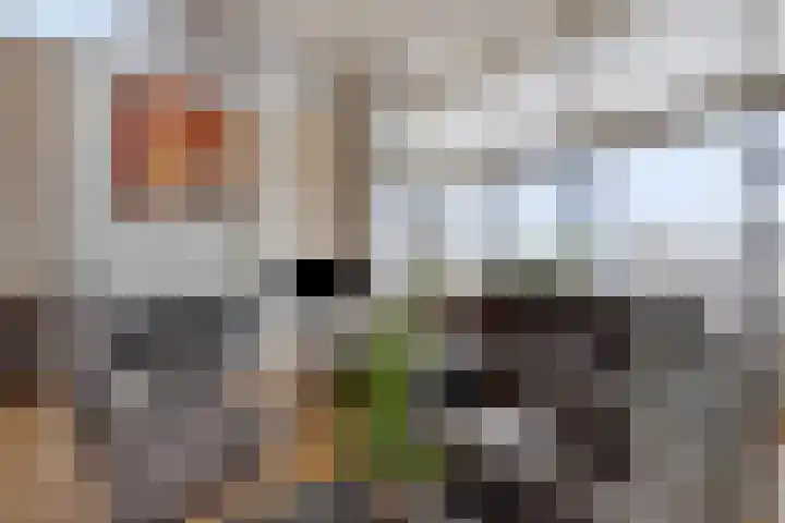 De Misse 42 Uden thumbnail 12
