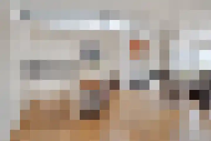 De Misse 42 Uden thumbnail 14