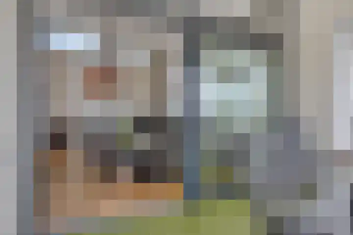De Misse 42 Uden thumbnail 19