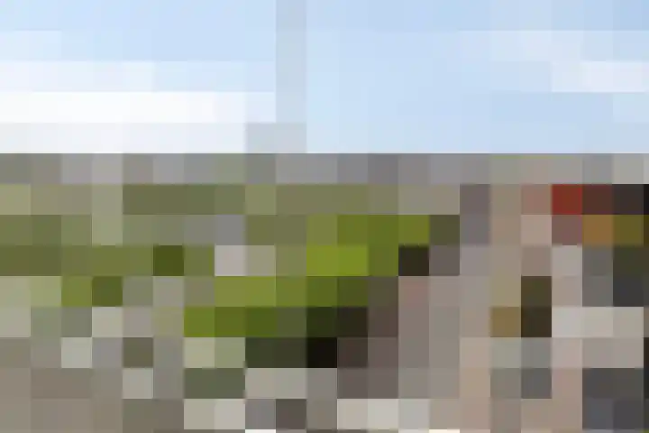 De Misse 42 Uden thumbnail 20
