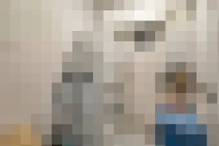 De Misse 42 Uden thumbnail 26