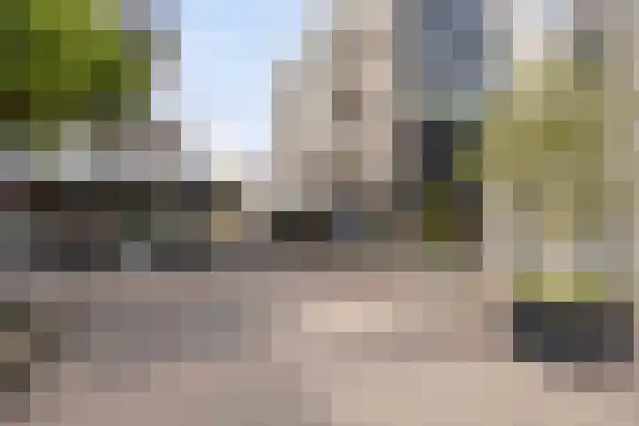 De Misse 42 Uden thumbnail 4