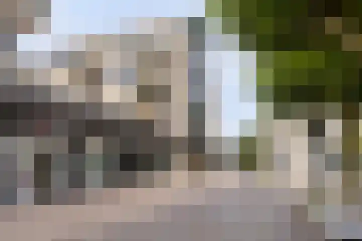 De Misse 42 Uden thumbnail 5