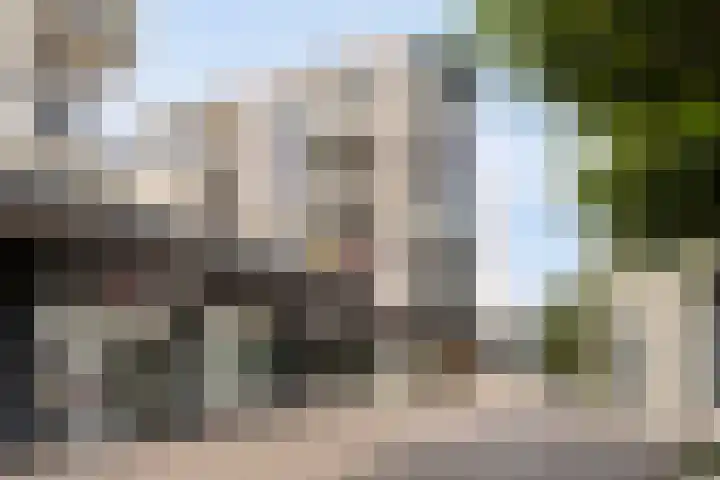 De Misse 42 Uden thumbnail 6