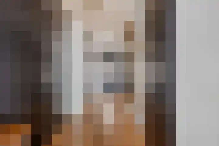 De Misse 42 Uden thumbnail 9