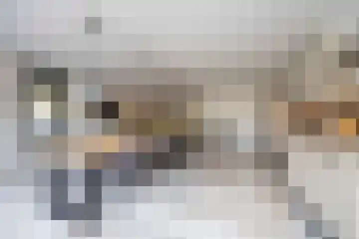 De Mississippi 2 Drunen thumbnail 19