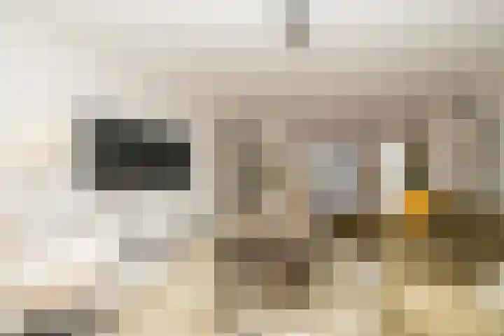 De Mississippi 2 Drunen thumbnail 4