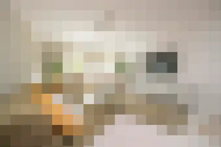 De Mississippi 2 Drunen thumbnail 7