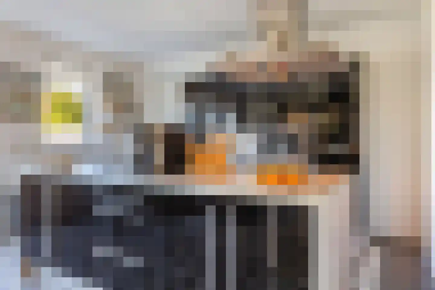 De Moeraseik 14 Apeldoorn thumbnail 10