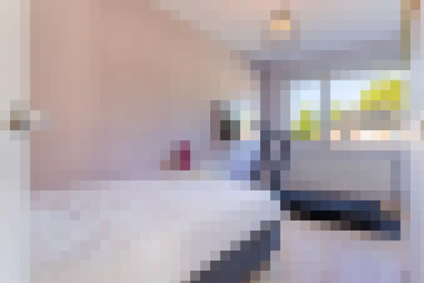 De Moeraseik 14 Apeldoorn thumbnail 14