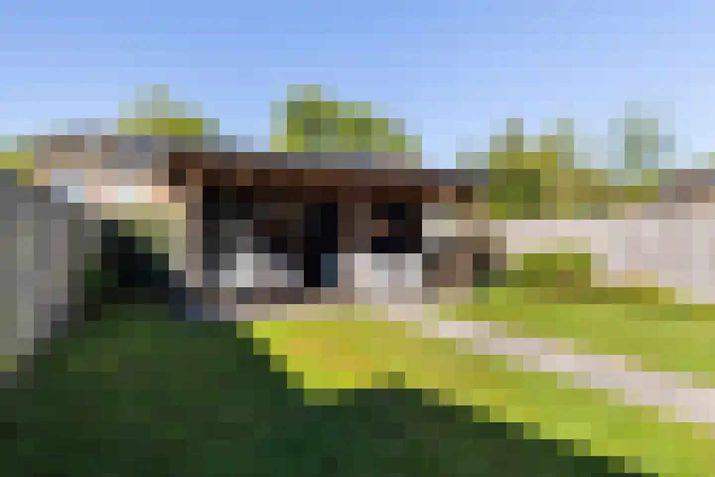 De Moeraseik 14 Apeldoorn thumbnail 25