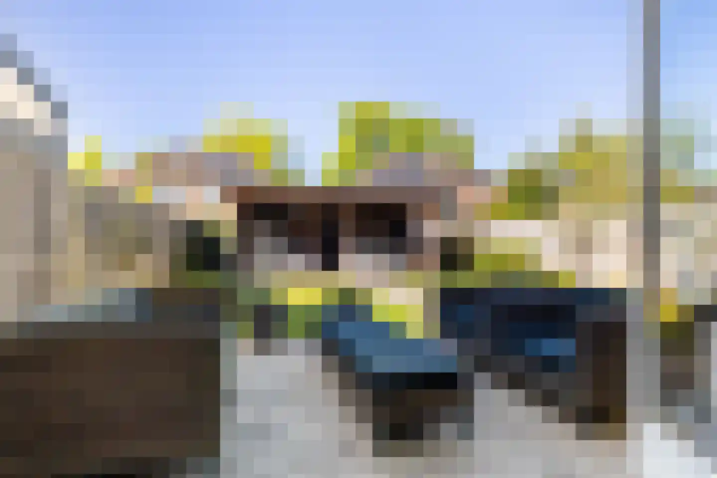 De Moeraseik 14 Apeldoorn thumbnail 4