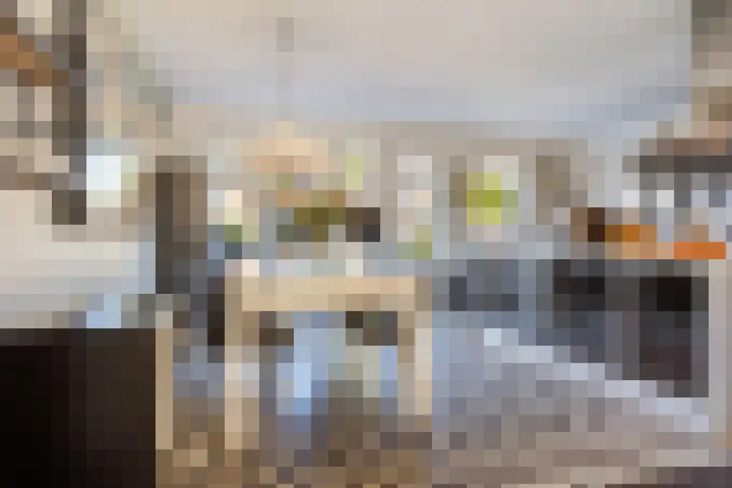 De Moeraseik 14 Apeldoorn thumbnail 9