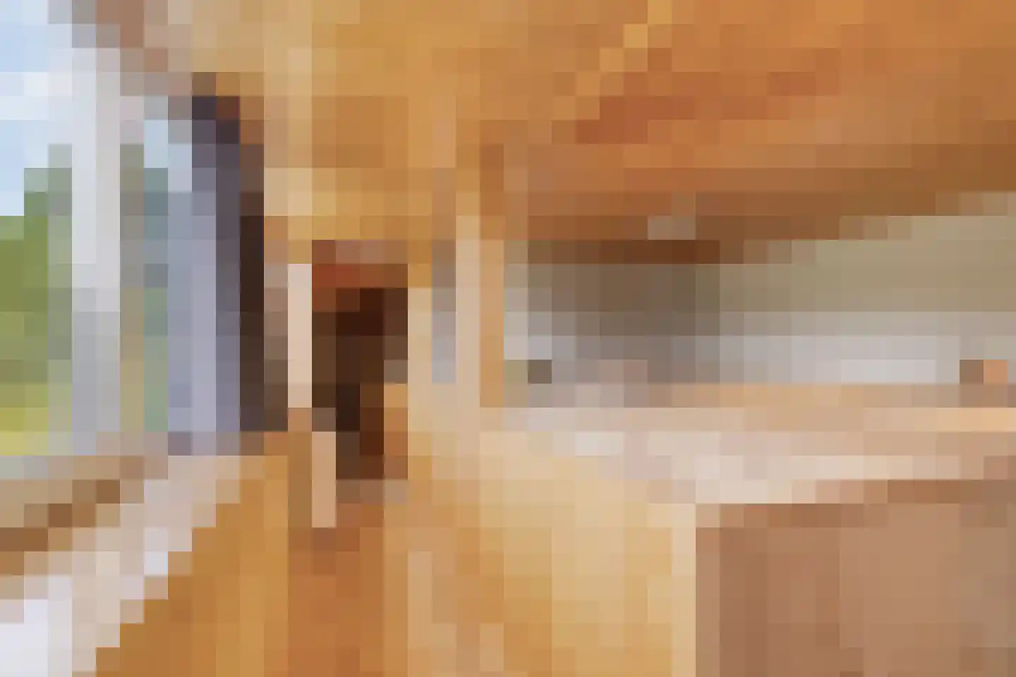 De Moerkens 2 Bergen op Zoom thumbnail 39