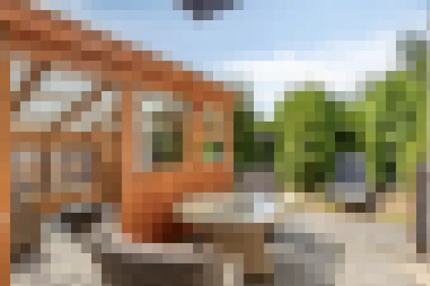 De Moerkens 2 Bergen op Zoom thumbnail 46