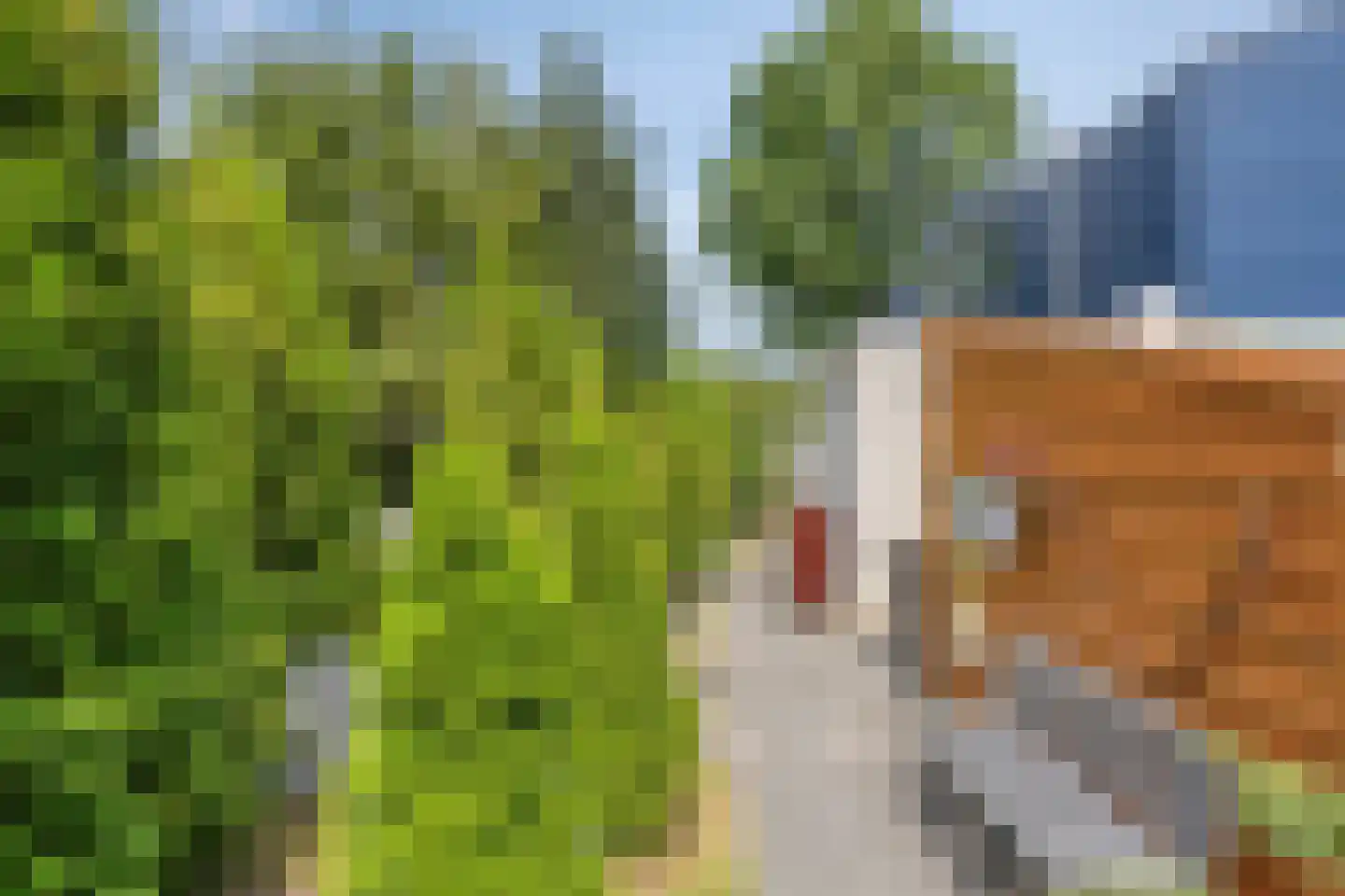 De Moerkens 2 Bergen op Zoom thumbnail 48