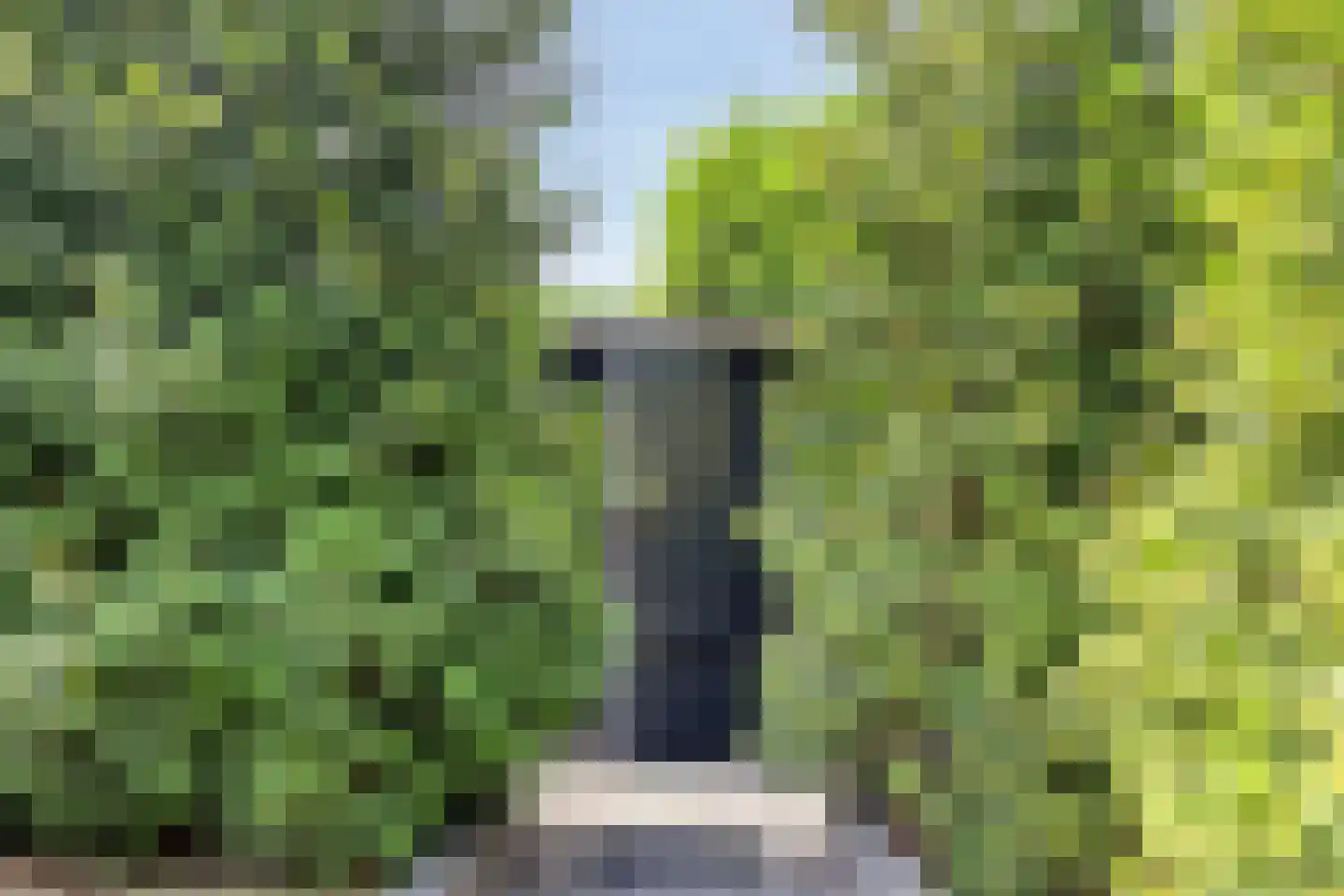 De Moerkens 2 Bergen op Zoom thumbnail 49