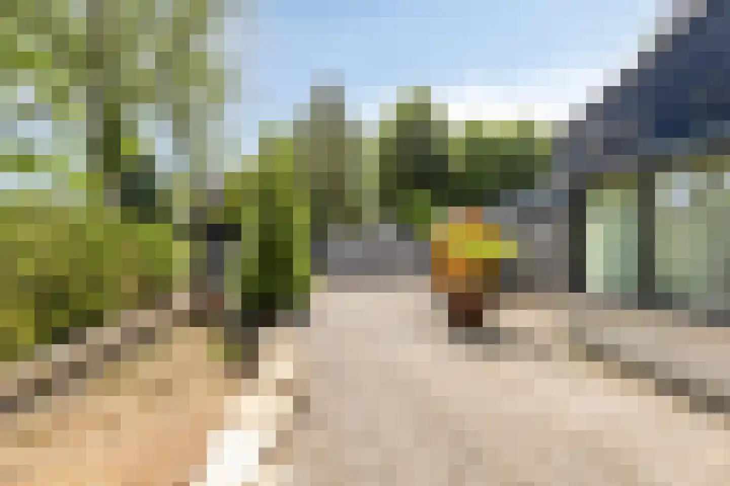 De Moerkens 2 Bergen op Zoom thumbnail 55