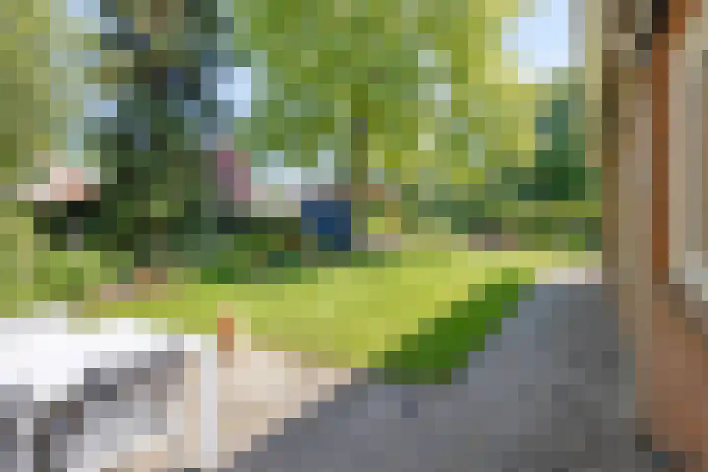 De Moerkens 38 Bergen op Zoom thumbnail 53