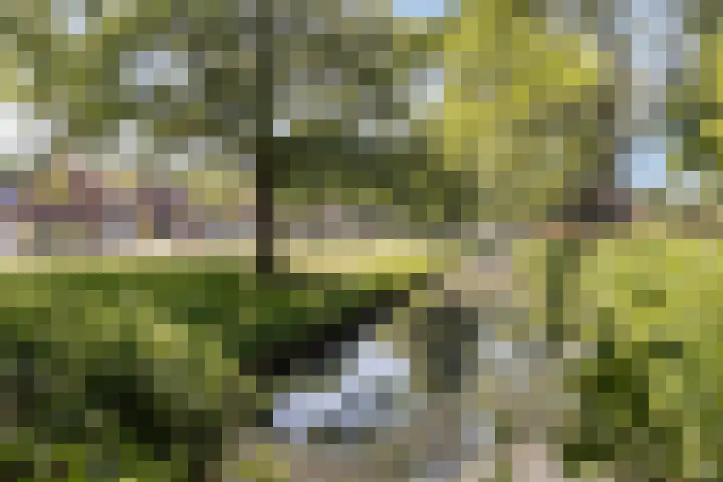 De Moerkens 38 Bergen op Zoom thumbnail 62