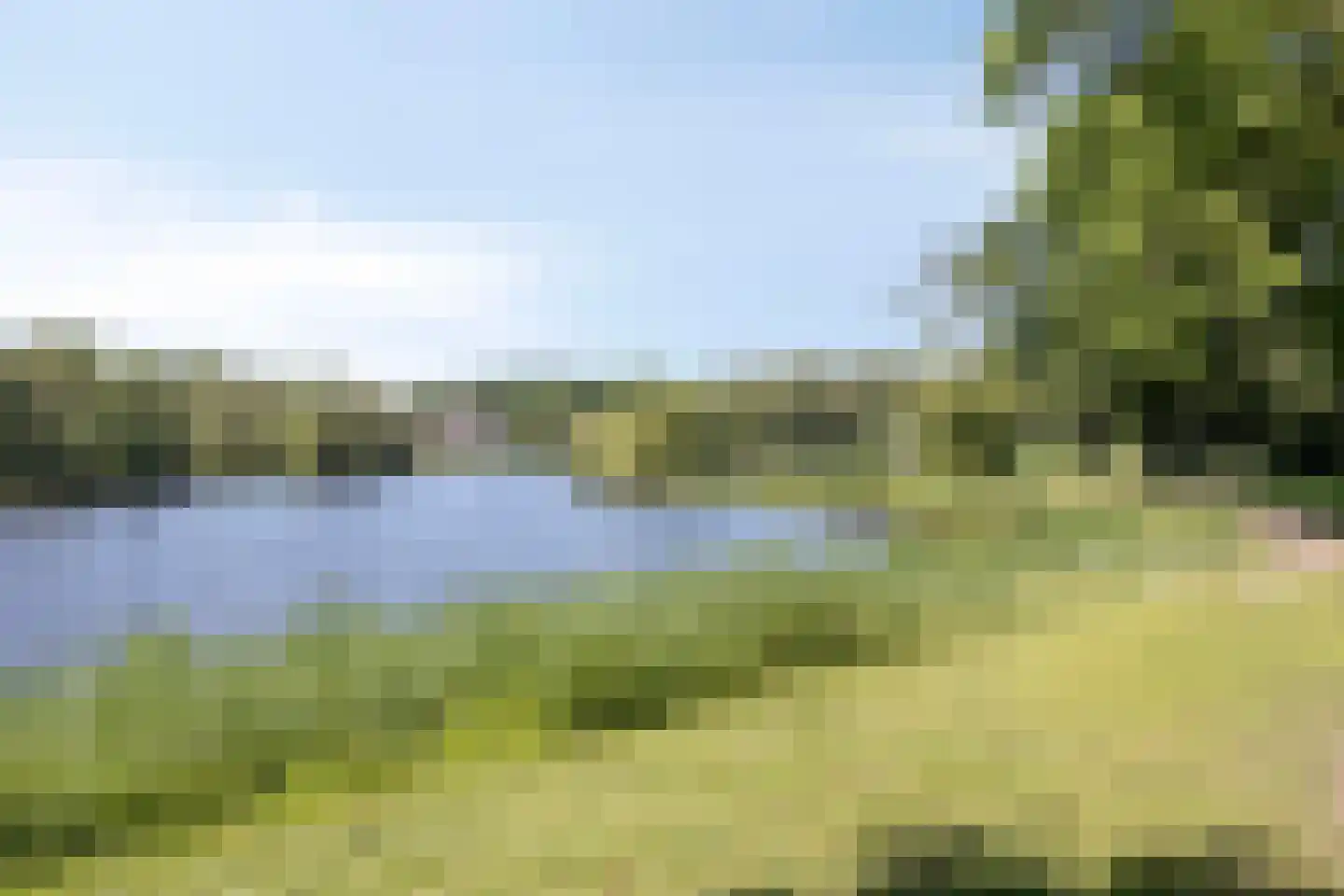 De Moerkens 38 Bergen op Zoom thumbnail 63