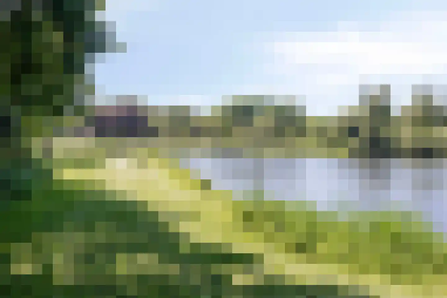 De Moerkens 38 Bergen op Zoom thumbnail 64