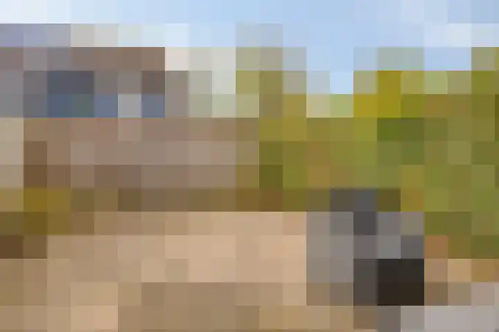De Moesmate 166 Zutphen thumbnail 25