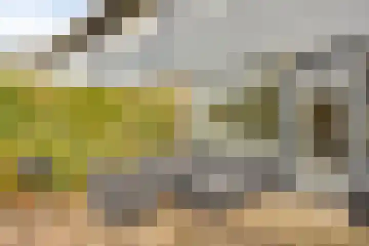 De Moesmate 166 Zutphen thumbnail 26
