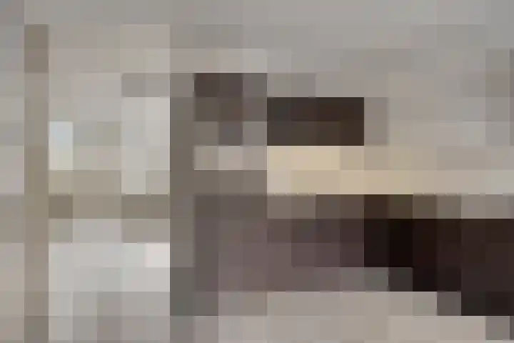 De Moesmate 166 Zutphen thumbnail 7