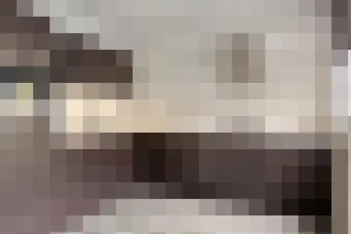 De Moesmate 166 Zutphen thumbnail 8