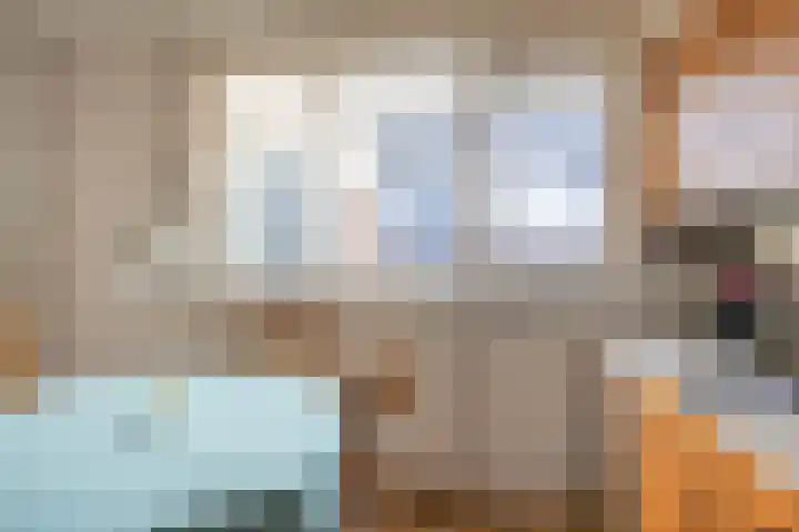 De Moesmate 254 Zutphen thumbnail 14