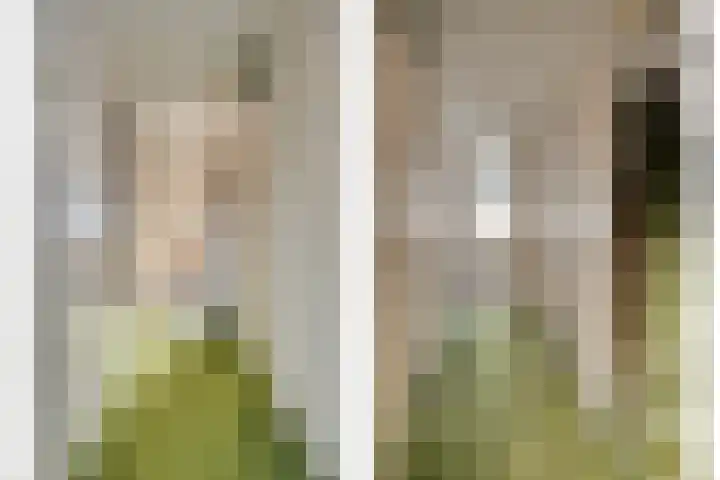 De Moesmate 254 Zutphen thumbnail 17