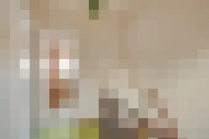 De Moesmate 254 Zutphen thumbnail 25