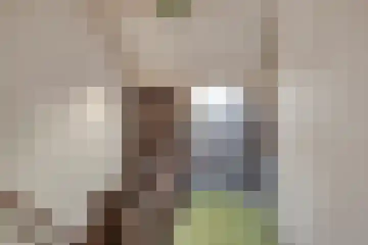 De Moesmate 254 Zutphen thumbnail 26